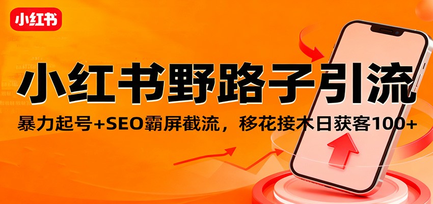 小红书野路子引流,暴力起号+SEO霸屏截流,移花接木日获客100+-Z网创