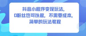 抖音小程序变现玩法，0粉丝也可以做，不需要成本，简单的玩法教程-Z网创