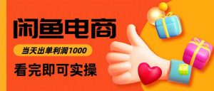 闲鱼高利润电商，当天上架当天出单，一单利润300-Z网创