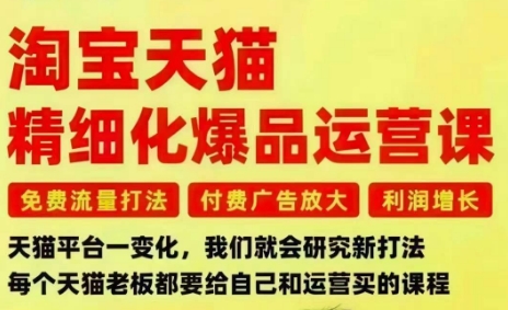 淘宝天猫精细化爆品运营课,免费流量打法-付费广告放大-利润增长-三大核心痛点,一次全部解决-Z网创