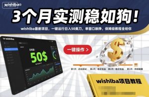 3个月实测稳如狗!wishlba最新项目,一键运行日入50美刀,单窗口躺挣,保姆级教程全给你【揭秘】-Z网创