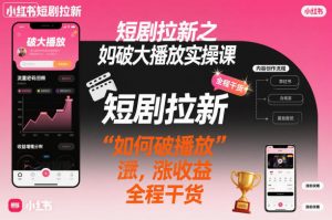 短剧拉新之小红书如何破大播放实操课，如何破播放，涨收益，全程干货-Z网创
