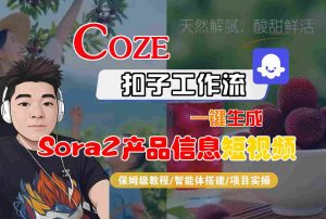 Coze扣子智能体工作流一键生成“SORA2产品信息“短视频,全流程保姆级教学-Z网创