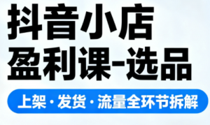 抖音小店盈利课-选品·上架·发货·流量全环节拆解-Z网创