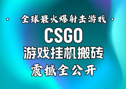 【年底大揭秘】基于全球最火爆的射击CSGO游戏挂G搬砖，日入5张+，震撼公开-Z网创