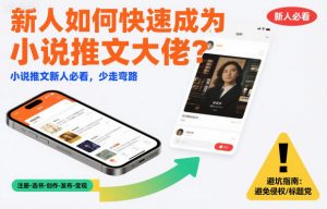 新人如何快速成为小说推文大佬？小说推文新人必看，少走弯路-Z网创