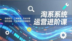 淘系系统运营进阶课2.0，流程规范、工具教学、实战诊断，进阶突破，打造高盈利店铺模型-Z网创