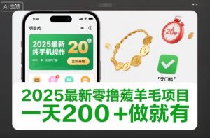 2025最新零撸薅羊毛项目，纯手机操作，20秒一单，无任何门槛，一天200+做就有【揭秘】-Z网创