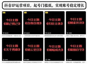抖音IP运营项目，抖音今日主题玩法，起号门槛低，实现账号稳定增长-Z网创