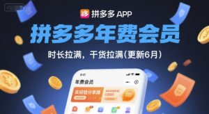 拼多多年费会员,实经验分享操,时长拉满,干货拉满(更新12月)-Z网创