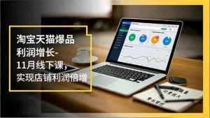 淘宝天猫爆品利润增长-11月线下课,免费流量、付费放大、费比管控,实现店铺利润倍增-Z网创
