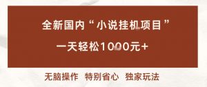 全新国内小说挂G项目,多窗口无脑跑,一天轻松1k+,特别省心【揭秘】-Z网创
