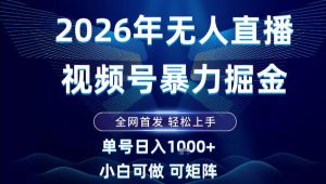 2026最新视频号无人直播掘金，全网首发，小白可以玩，长期稳定日入1k+【揭秘】-Z网创