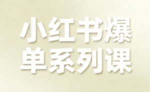 小红书爆单系列课，聚焦小红书电商全链路增长(更新)-Z网创