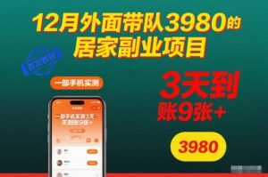 12月外面带队3980的居家副业项目，一部手机实测3天到账9张+，首发教程【揭秘】-Z网创
