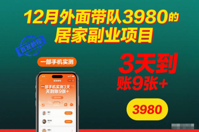 12月外面带队3980的居家副业项目，一部手机实测3天到账9张+，首发教程【揭秘】-Z网创