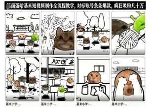 卤蛋哈基米短视频制作全流程教学，条条爆款，疯狂吸粉几十万-Z网创