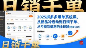 2025拼多多爆单系统课，从新品冷启动到日销千单、从亏损到盈利的全链路(更新12月-Z网创