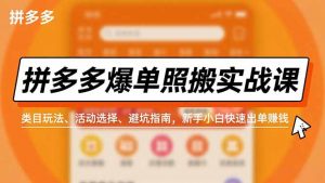 拼多多爆单照搬实战课，类目玩法、活动选择、避坑指南，新手小白快速出单赚钱-Z网创