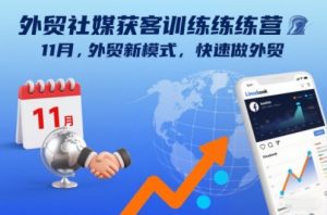外贸社媒获客训练营11月，外贸新模式，快速做外贸-Z网创