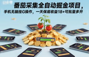 番茄采集全自动掘金项目，手机无脑挂G操作，一天保底收益18+可批量多开【揭秘】-Z网创