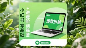 小红书零基础+高阶训练营：安全养号、爆款拆解、长效运营，实现稳定涨粉与变现-Z网创