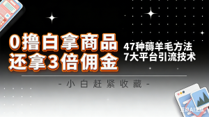 10大平台引流实操教程，白得商品倒赚3倍佣金，47种薅羊毛攻略，管道月入过万-Z网创