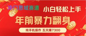 年前爆火项目，5天赚了7300-Z网创