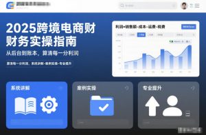 2025跨境电商财务实操指南，从后台到账本，算清每一分利润，系统讲解-案例实操-专业提升-Z网创