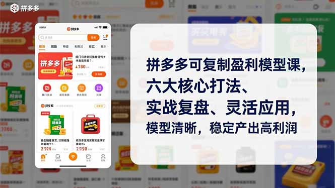 拼多多可复制盈利模型课，六大核心打法、实战复盘、灵活应用，模型清晰，稳定产出高利润-Z网创