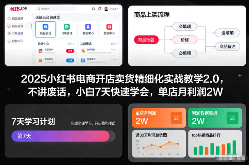 2025小红书电商开店卖货精细化实战教学2.0，不讲废话，小白7天快速学会，单店月利润2W-Z网创