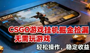 CSGO游戏挂G掘金捡漏,不需要玩游戏,操作简单,收益稳定【揭秘】-Z网创