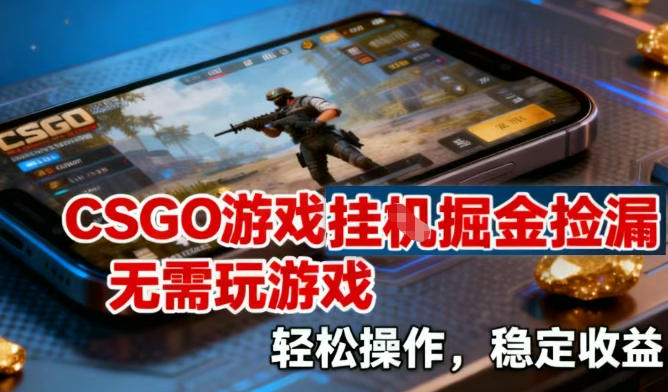 CSGO游戏挂G掘金捡漏，不需要玩游戏，操作简单，收益稳定【揭秘】-Z网创