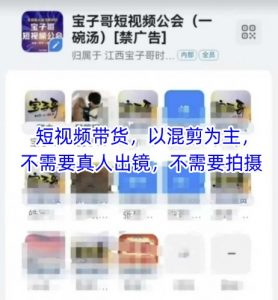 宝子哥头部团队短视频带货，以混剪为主，不需要真人出镜，不需要拍摄【更新11月】-Z网创