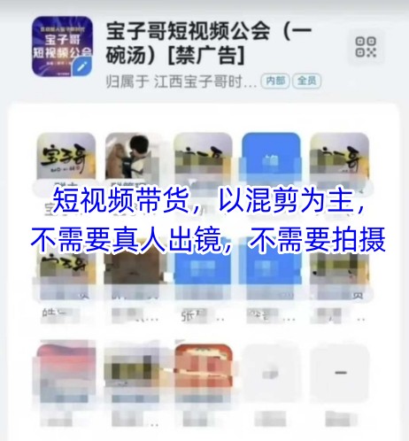 宝子哥头部团队短视频带货，以混剪为主，不需要真人出镜，不需要拍摄【更新11月】-Z网创