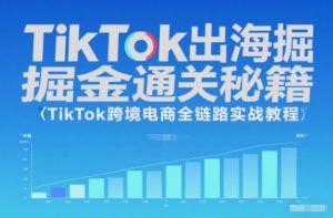 TikTok出海掘金通关秘籍，TikTok跨境电商全链路实战教程-Z网创