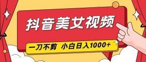抖音美女视频，一刀不剪，两分钟一条视频，小白轻松上手，日入1000-Z网创