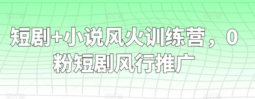 短剧+小说风火训练营，0粉短剧风行推广-Z网创