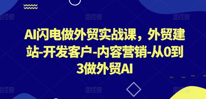AI闪电做外贸实战课，​外贸建站-开发客户-内容营销-从0到3做外贸AI(更新)-Z网创