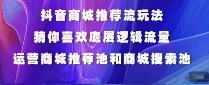 抖音商城运营课程，猜你喜欢入池商城搜索商城推荐人群标签覆盖-Z网创