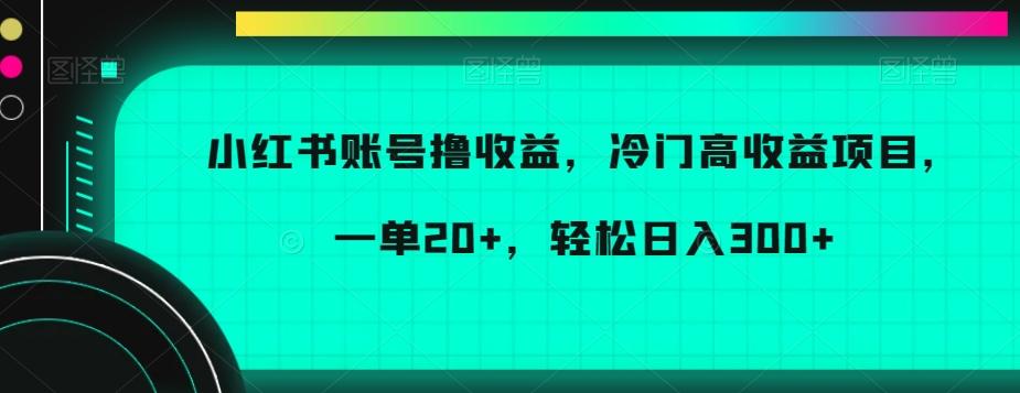 小红书账号撸收益，冷门高收益项目，一单20+，轻松日入300+【揭秘】-Z网创
