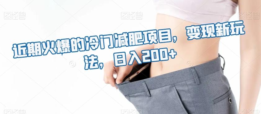 近期火爆的冷门减肥项目，变现新玩法，日入200+-Z网创