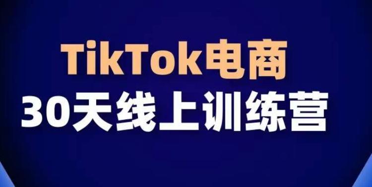 TikTok电商带货30天线上课，不可错过的全球流量洼地！-Z网创
