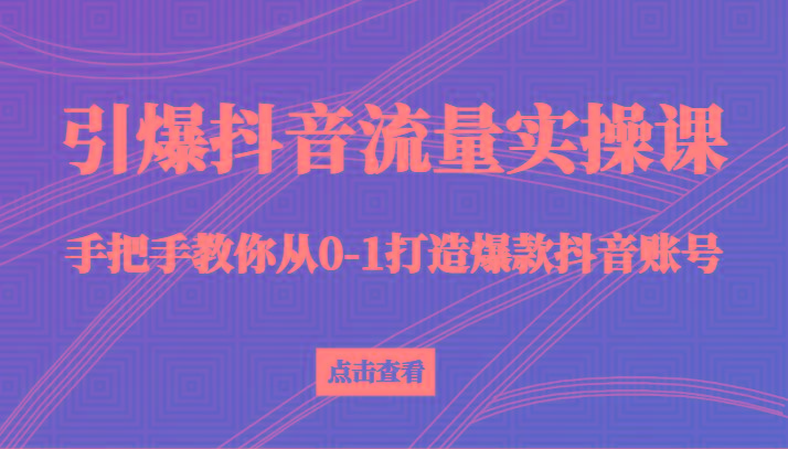 引爆抖音流量实操课，手把手教你从0-1打造爆款抖音账号(27节课)-Z网创