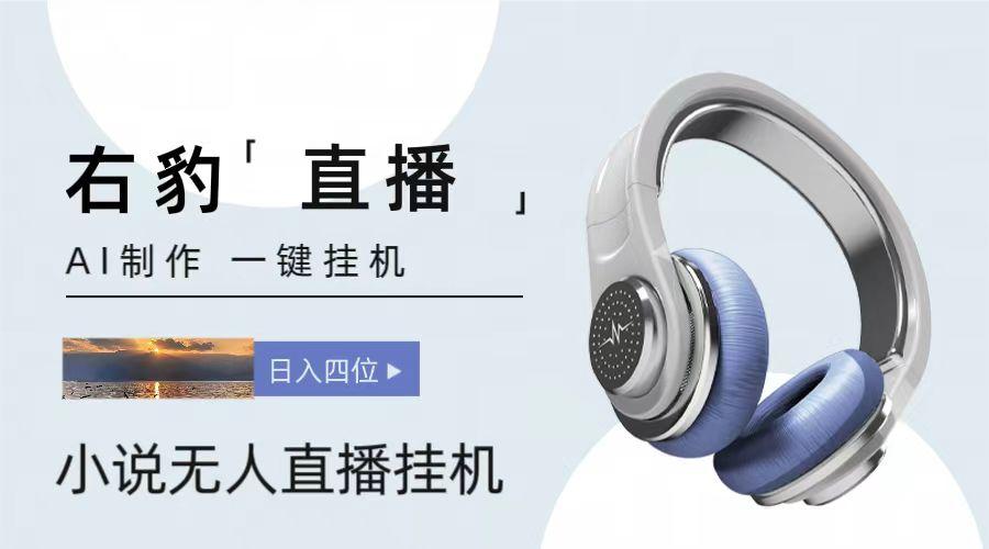 右豹小说无人直播挂机吸金项目,简单易行收益稳定, 月入1000+-Z网创