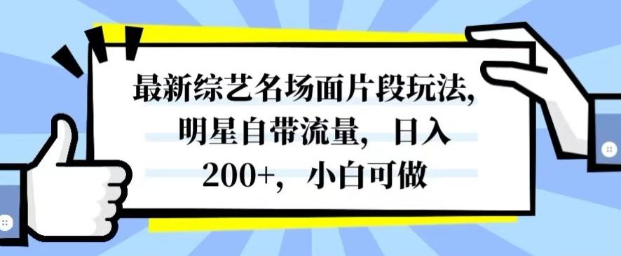 最新综艺名场面片段玩法，明星自带流量，日入200+，小白可做【揭秘】-Z网创