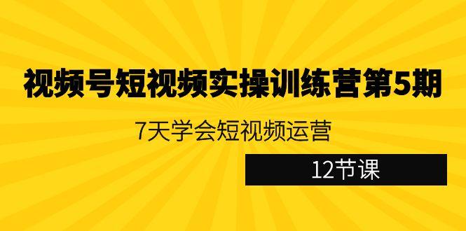 视频号短视频实操训练营第5期：7天学会短视频运营(12节课)-Z网创