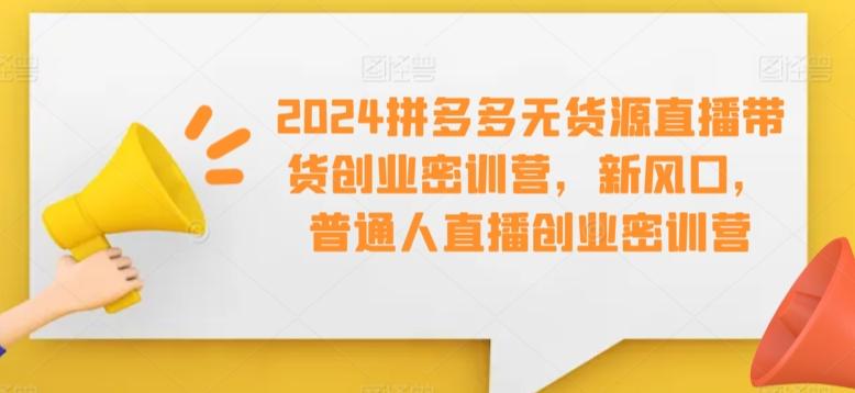 2024拼多多无货源直播带货创业密训营,新风口,普通人直播创业密训营-Z网创