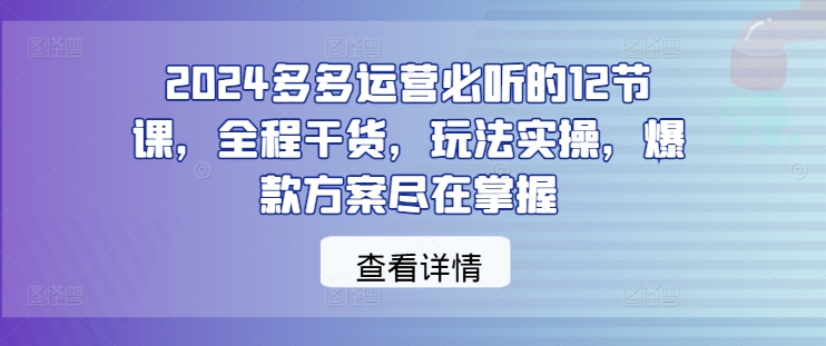 2024多多运营必听的12节课，全程干货，玩法实操，爆款方案尽在掌握-Z网创