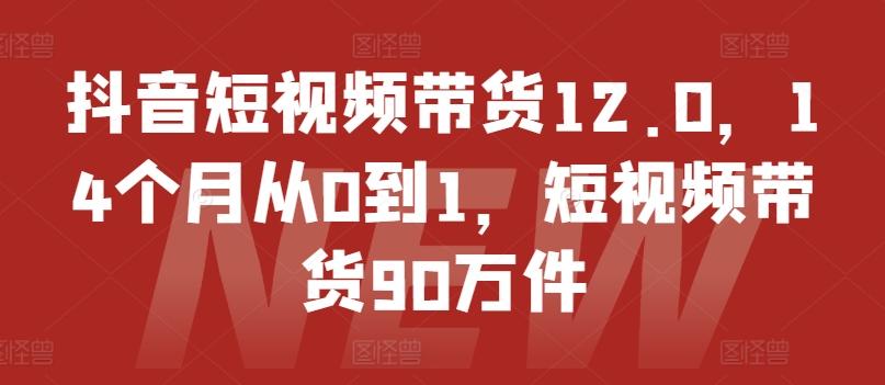 抖音短视频带货12.0，14个月从0到1，短视频带货90万件-Z网创